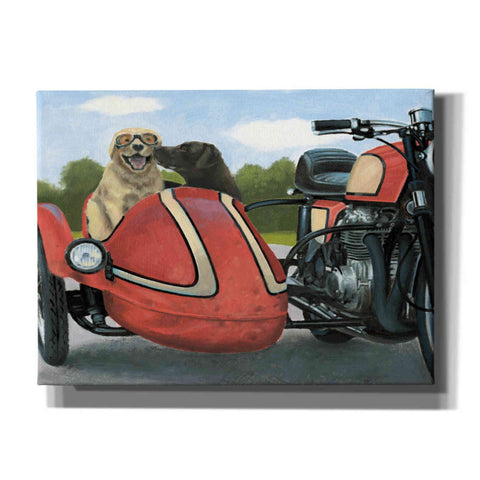 Image of Epic Art 'Born to Be Wild Crop' by James Wiens, Canvas Wall Art,16x12x1.1x0,24x20x1.1x0,30x26x1.74x0,54x40x1.74x0