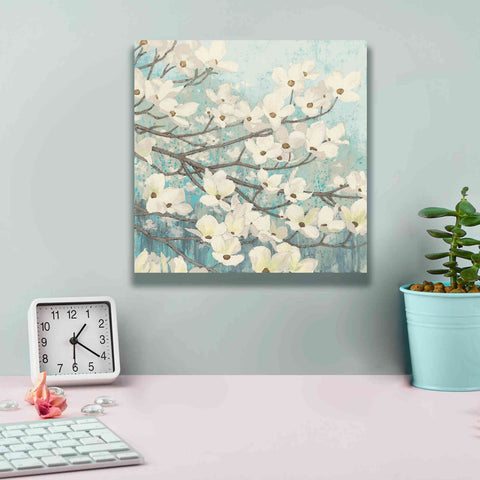 Image of Epic Art 'Dogwood Blossoms' by James Wiens, Canvas Wall Art,12 x 12