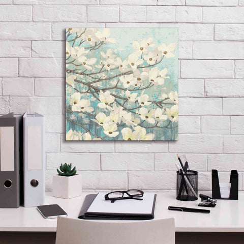 Image of Epic Art 'Dogwood Blossoms' by James Wiens, Canvas Wall Art,18 x 18