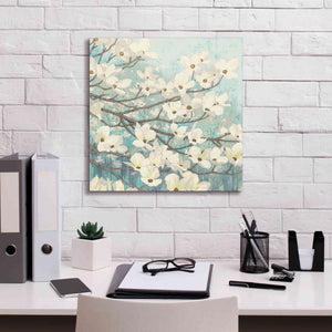 Epic Art 'Dogwood Blossoms' by James Wiens, Canvas Wall Art,18 x 18