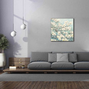 Epic Art 'Dogwood Blossoms' by James Wiens, Canvas Wall Art,37 x 37