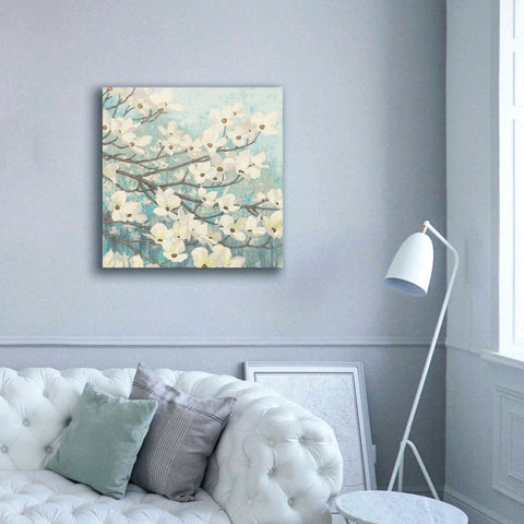Image of Epic Art 'Dogwood Blossoms' by James Wiens, Canvas Wall Art,37 x 37