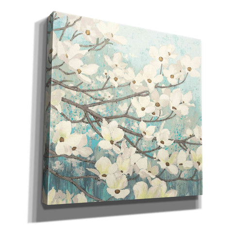 Image of Epic Art 'Dogwood Blossoms' by James Wiens, Canvas Wall Art,12x12x1.1x0,18x18x1.1x0,26x26x1.74x0,37x37x1.74x0