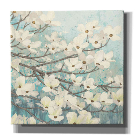 Image of Epic Art 'Dogwood Blossoms' by James Wiens, Canvas Wall Art,12x12x1.1x0,18x18x1.1x0,26x26x1.74x0,37x37x1.74x0