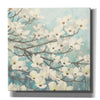 Epic Art 'Dogwood Blossoms' by James Wiens, Canvas Wall Art,12x12x1.1x0,18x18x1.1x0,26x26x1.74x0,37x37x1.74x0
