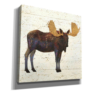 Epic Art 'Golden Nature I' by James Wiens, Canvas Wall Art,12x12x1.1x0,18x18x1.1x0,26x26x1.74x0,37x37x1.74x0