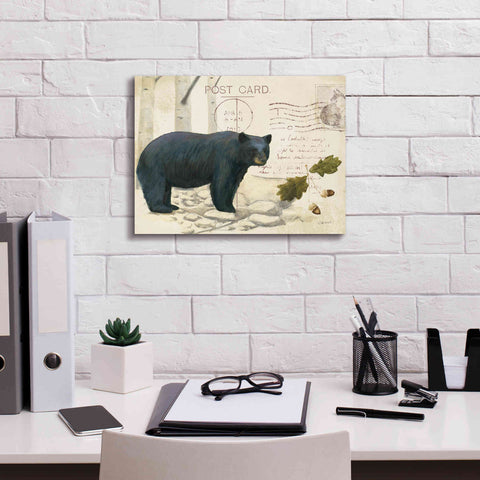 Image of Epic Art 'Northern Wild Bear' by James Wiens, Canvas Wall Art,16 x 12