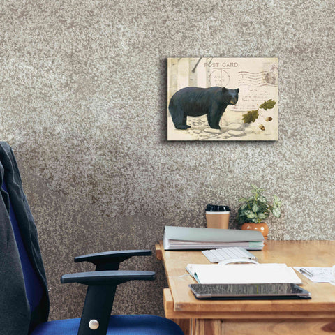 Image of Epic Art 'Northern Wild Bear' by James Wiens, Canvas Wall Art,16 x 12