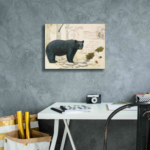 Image of Epic Art 'Northern Wild Bear' by James Wiens, Canvas Wall Art,16 x 12