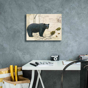 Epic Art 'Northern Wild Bear' by James Wiens, Canvas Wall Art,16 x 12