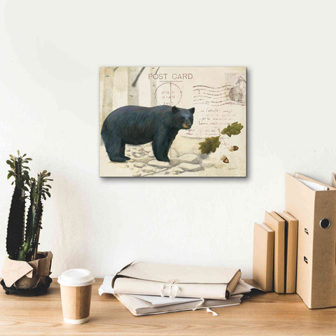 Image of Epic Art 'Northern Wild Bear' by James Wiens, Canvas Wall Art,16 x 12