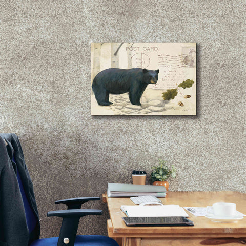 Image of Epic Art 'Northern Wild Bear' by James Wiens, Canvas Wall Art,24 x 20