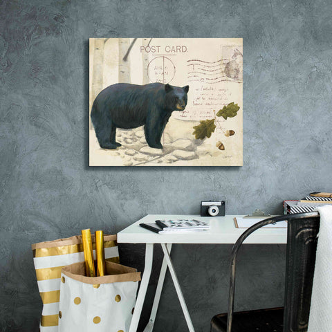 Image of Epic Art 'Northern Wild Bear' by James Wiens, Canvas Wall Art,24 x 20