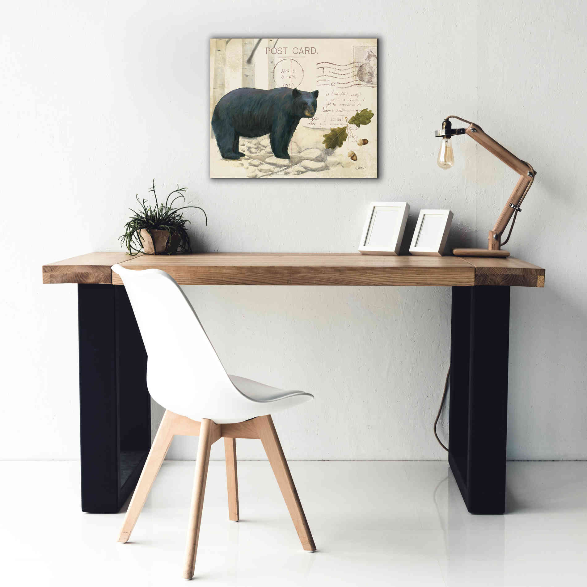 Epic Art 'Northern Wild Bear' by James Wiens, Canvas Wall Art,24 x 20