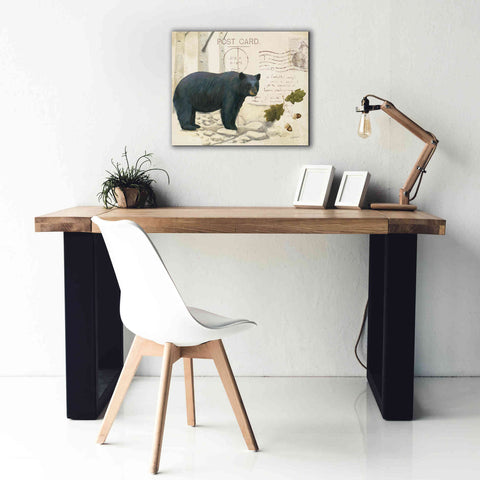 Image of Epic Art 'Northern Wild Bear' by James Wiens, Canvas Wall Art,24 x 20