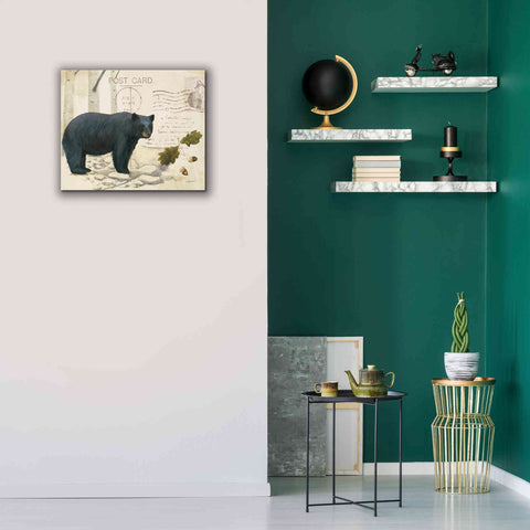 Image of Epic Art 'Northern Wild Bear' by James Wiens, Canvas Wall Art,24 x 20