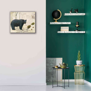 Epic Art 'Northern Wild Bear' by James Wiens, Canvas Wall Art,24 x 20