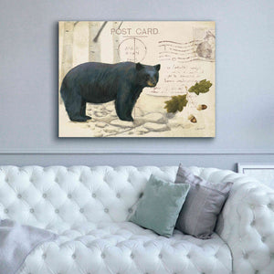 Epic Art 'Northern Wild Bear' by James Wiens, Canvas Wall Art,54 x 40