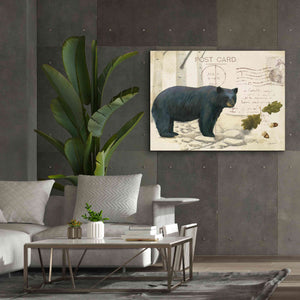 Epic Art 'Northern Wild Bear' by James Wiens, Canvas Wall Art,54 x 40