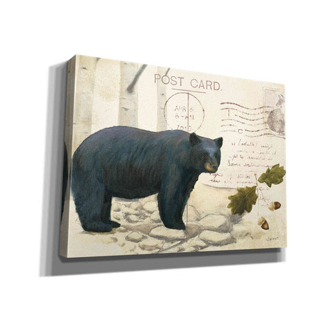 Image of Epic Art 'Northern Wild Bear' by James Wiens, Canvas Wall Art,16x12x1.1x0,24x20x1.1x0,30x26x1.74x0,54x40x1.74x0