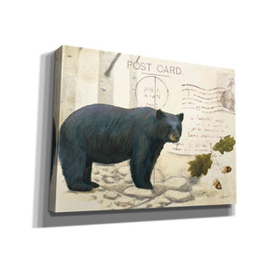 Epic Art 'Northern Wild Bear' by James Wiens, Canvas Wall Art,16x12x1.1x0,24x20x1.1x0,30x26x1.74x0,54x40x1.74x0