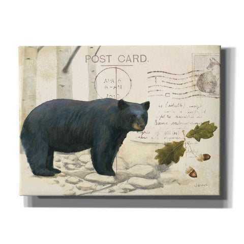Image of Epic Art 'Northern Wild Bear' by James Wiens, Canvas Wall Art,16x12x1.1x0,24x20x1.1x0,30x26x1.74x0,54x40x1.74x0