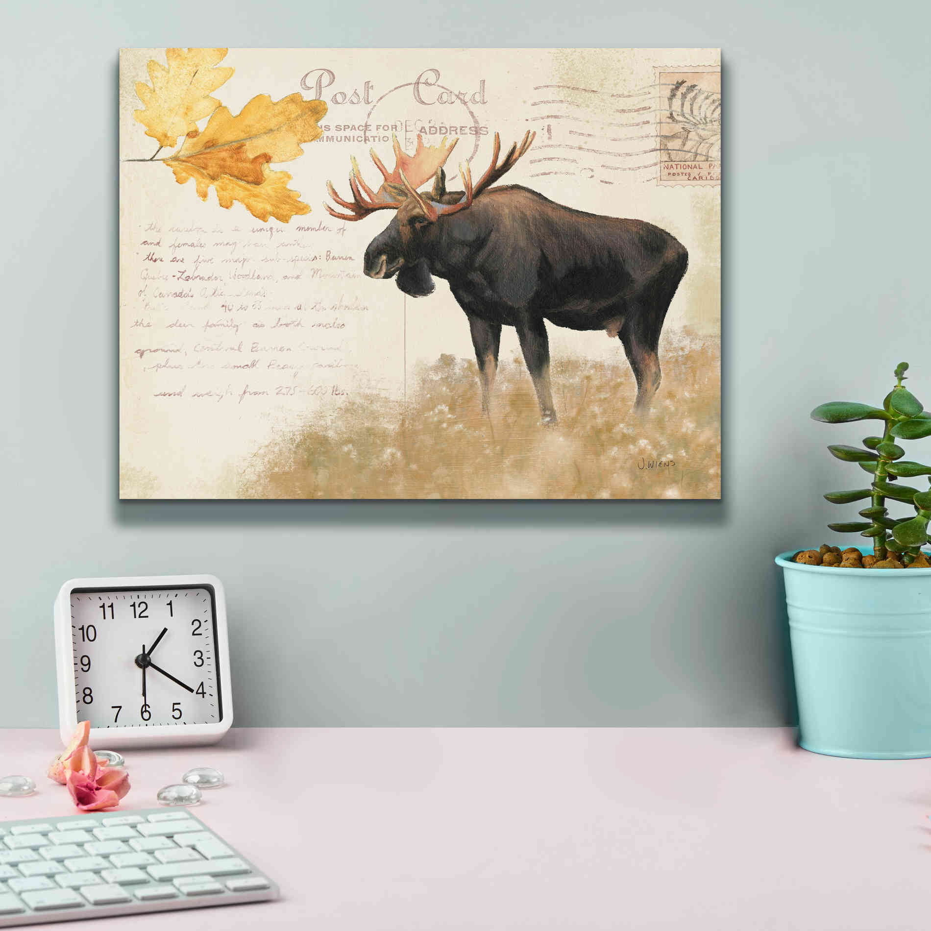 Epic Art 'Northern Wild Moose' by James Wiens, Canvas Wall Art,16 x 12
