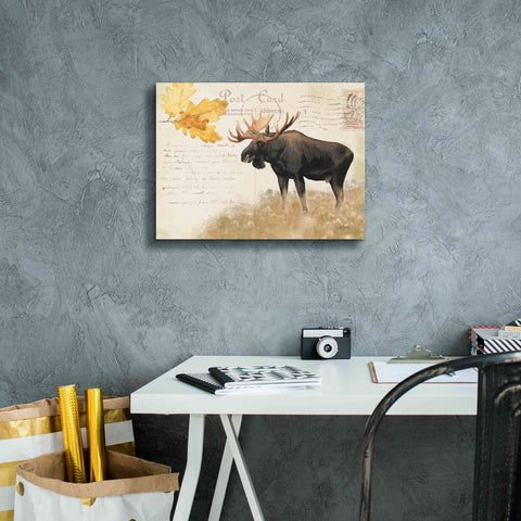 Image of Epic Art 'Northern Wild Moose' by James Wiens, Canvas Wall Art,16 x 12