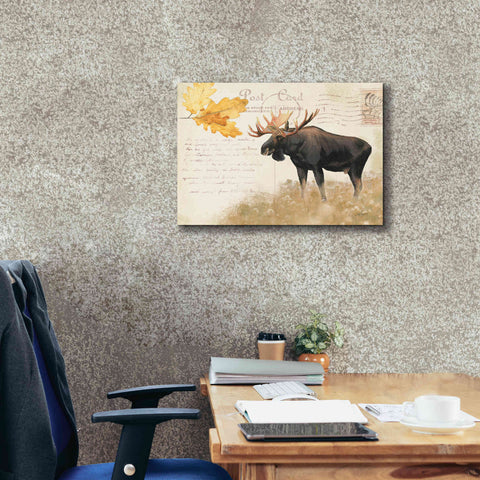 Image of Epic Art 'Northern Wild Moose' by James Wiens, Canvas Wall Art,24 x 20