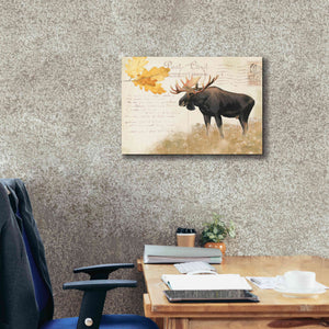 Epic Art 'Northern Wild Moose' by James Wiens, Canvas Wall Art,24 x 20