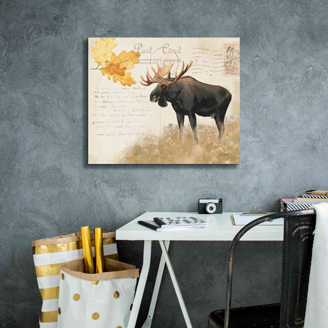 Image of Epic Art 'Northern Wild Moose' by James Wiens, Canvas Wall Art,24 x 20
