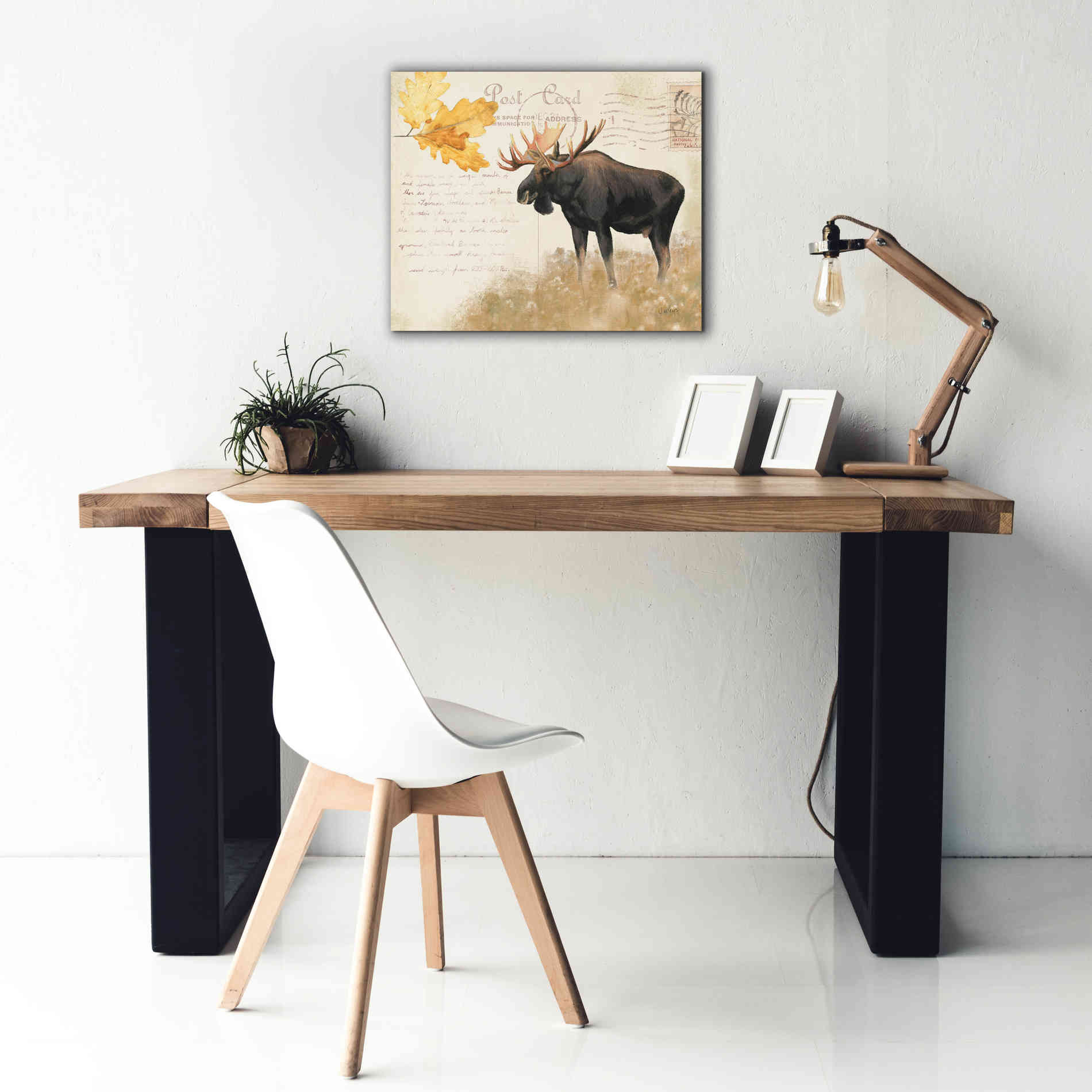Epic Art 'Northern Wild Moose' by James Wiens, Canvas Wall Art,24 x 20