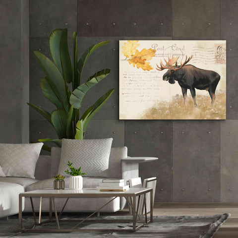Image of Epic Art 'Northern Wild Moose' by James Wiens, Canvas Wall Art,54 x 40
