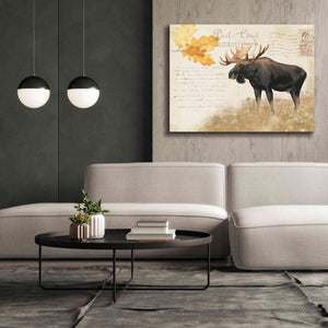 Epic Art 'Northern Wild Moose' by James Wiens, Canvas Wall Art,54 x 40