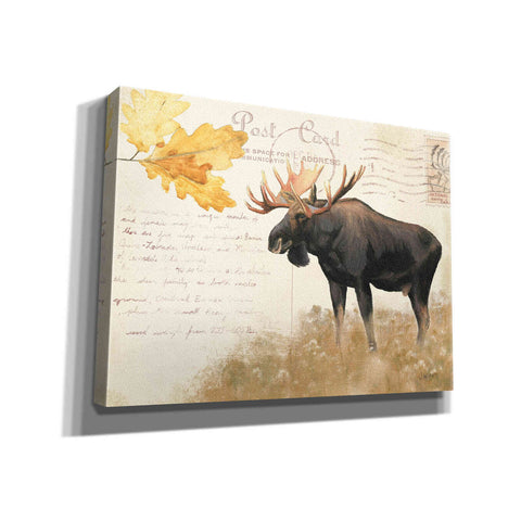 Image of Epic Art 'Northern Wild Moose' by James Wiens, Canvas Wall Art,16x12x1.1x0,24x20x1.1x0,30x26x1.74x0,54x40x1.74x0