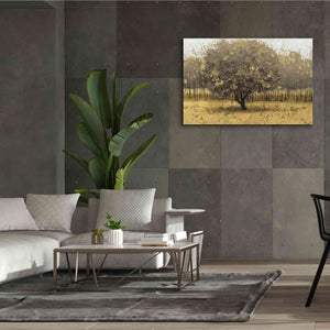 Epic Art 'Golden Trees I' by James Wiens, Canvas Wall Art,60 x 40