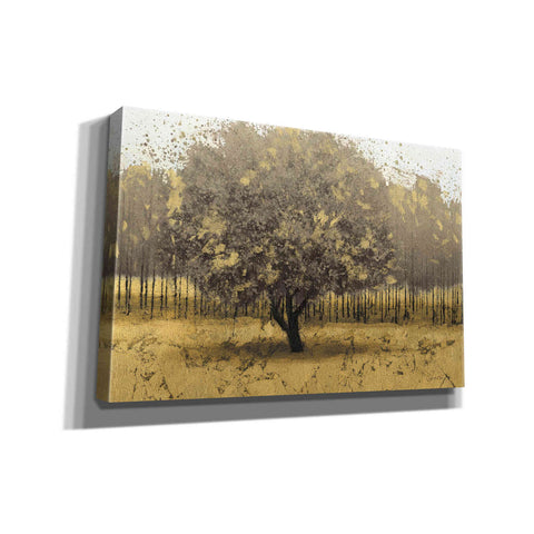 Image of Epic Art 'Golden Trees I' by James Wiens, Canvas Wall Art,18x12x1.1x0,26x18x1.1x0,40x26x1.74x0,60x40x1.74x0