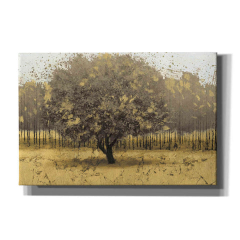 Image of Epic Art 'Golden Trees I' by James Wiens, Canvas Wall Art,18x12x1.1x0,26x18x1.1x0,40x26x1.74x0,60x40x1.74x0
