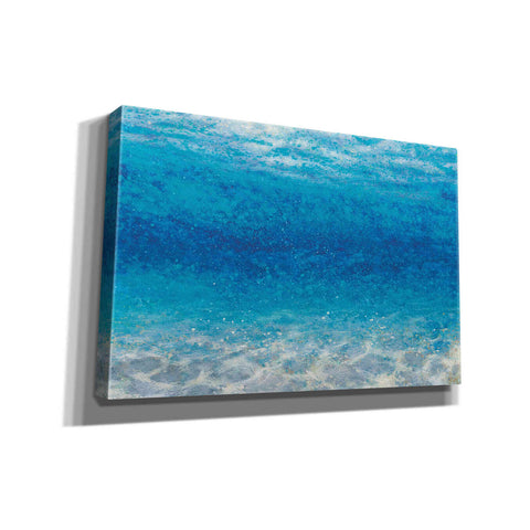 Image of Epic Art 'Underwater I' by James Wiens, Canvas Wall Art,18x12x1.1x0,26x18x1.1x0,40x26x1.74x0,60x40x1.74x0
