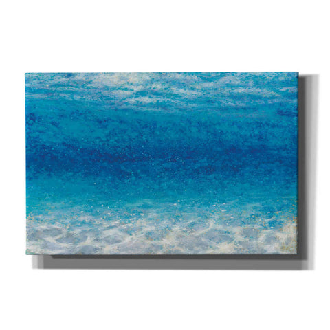 Image of Epic Art 'Underwater I' by James Wiens, Canvas Wall Art,18x12x1.1x0,26x18x1.1x0,40x26x1.74x0,60x40x1.74x0