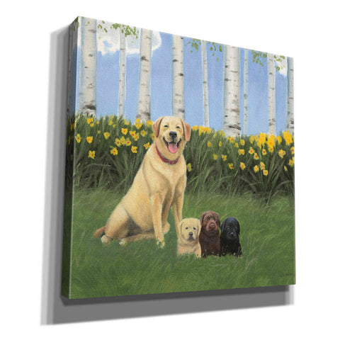 Image of Epic Art 'Proud Mom' by James Wiens, Canvas Wall Art,12x12x1.1x0,18x18x1.1x0,26x26x1.74x0,37x37x1.74x0