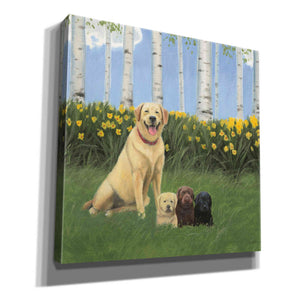 Epic Art 'Proud Mom' by James Wiens, Canvas Wall Art,12x12x1.1x0,18x18x1.1x0,26x26x1.74x0,37x37x1.74x0