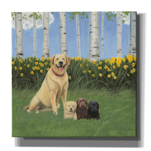 Epic Art 'Proud Mom' by James Wiens, Canvas Wall Art,12x12x1.1x0,18x18x1.1x0,26x26x1.74x0,37x37x1.74x0