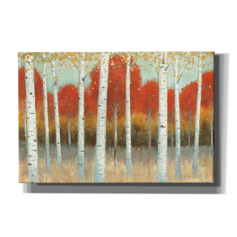Image of 'Fall Promenade I' by James Wiens, Canvas Wall Art,18x12x1.1x0,26x18x1.1x0,40x26x1.74x0,60x40x1.74x0