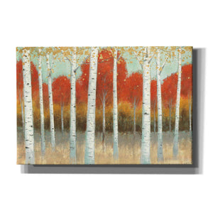 'Fall Promenade I' by James Wiens, Canvas Wall Art,18x12x1.1x0,26x18x1.1x0,40x26x1.74x0,60x40x1.74x0