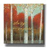 'Fall Promenade III' by James Wiens, Canvas Wall Art,12x12x1.1x0,18x18x1.1x0,26x26x1.74x0,37x37x1.74x0