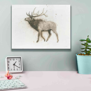 'Elk' by James Wiens, Canvas Wall Art,16 x 12