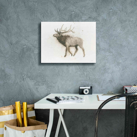 Image of 'Elk' by James Wiens, Canvas Wall Art,16 x 12