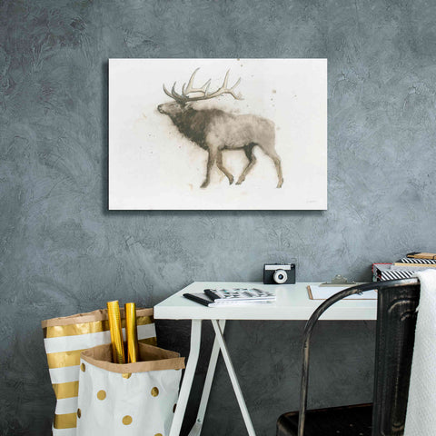 Image of 'Elk' by James Wiens, Canvas Wall Art,26 x 18