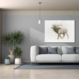 'Elk' by James Wiens, Canvas Wall Art,54 x 40